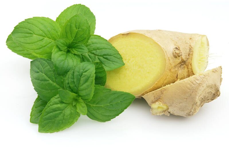 Xenxibre e menta na composición